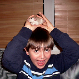 black eyed siamese rat baby with kid